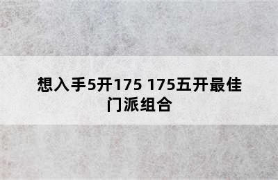 想入手5开175 175五开最佳门派组合